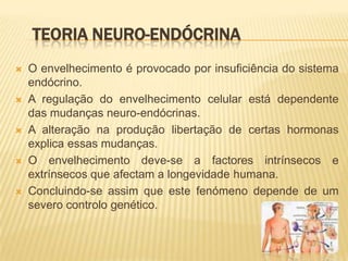 TEORIA NEURO-ENDÓCRINA
   O envelhecimento é provocado por insuficiência do sistema
    endócrino.
   A regulação do envelhecimento celular está dependente
    das mudanças neuro-endócrinas.
   A alteração na produção libertação de certas hormonas
    explica essas mudanças.
   O envelhecimento deve-se a factores intrínsecos e
    extrínsecos que afectam a longevidade humana.
   Concluindo-se assim que este fenómeno depende de um
    severo controlo genético.
 