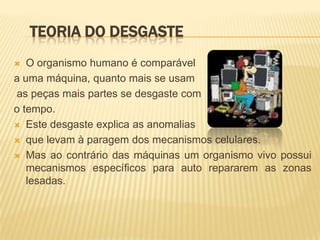 TEORIA DO DESGASTE
  O organismo humano é comparável
a uma máquina, quanto mais se usam
as peças mais partes se desgaste com
o tempo.
 Este desgaste explica as anomalias

 que levam à paragem dos mecanismos celulares.

 Mas ao contrário das máquinas um organismo vivo possui
   mecanismos específicos para auto repararem as zonas
   lesadas.
 