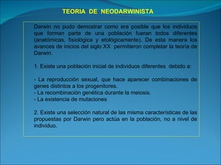 TEORIA  DE  NEODARWINISTA Darwin no pudo demostrar como era posible que los individuos que forman parte de una población fueran todos diferentes (anatómicas, fisiológica y etológicamente). De esta manera los avances de inicios del siglo XX  permitieron completar la teoría de Darwin. 1. Existe una población inicial de individuos diferentes  debido a: - La reproducción sexual, que hace aparecer combinaciones de genes distintos a los progenitores. - La recombinación genética durante la meiosis. - La existencia de mutaciones 2. Existe una selección natural de las misma características de las propuestas por Darwin pero actúa en la población, no a nivel de individuo. 