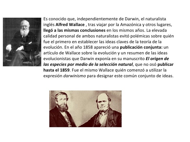Teorias evolutivas