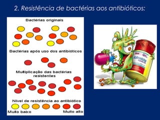 2. Resistência de bactérias aos antibióticos:
 