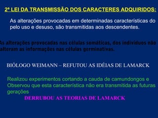 2ª LEI DA TRANSMISSÃO DOS CARACTERES ADQUIRIDOS:
As alterações provocadas em determinadas características do
pelo uso e desuso, são transmitidas aos descendentes.
As alterações provocadas nas células somáticas, dos indivíduos não
alteram as informações nas células germinativas.
BIÓLOGO WEIMANN – REFUTOU AS IDÉIAS DE LAMARCK
Realizou experimentos cortando a cauda de camundongos e
Observou que esta característica não era transmitida as futuras
gerações.
DERRUBOU AS TEORIAS DE LAMARCK
 