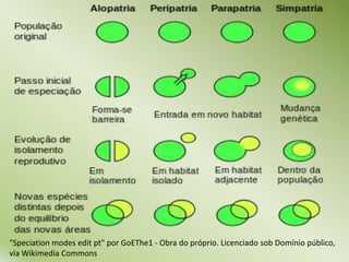 "Speciation modes edit pt" por GoEThe1 - Obra do próprio. Licenciado sob Domínio público,
via Wikimedia Commons
 