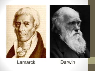 Lamarck Darwin
 