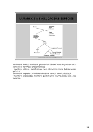 • mamíferos anfíbios - mamíferos que vivem em parte no mar e em parte em terra
(como leões-marinhos e lontras marinhas)
• mamíferos cetáceos - mamíferos que vivem inteiramente no mar (baleias, botos e
golfinhos)
• mamíferos ungulados - mamíferos com cascos (cavalos, bovinos, veados), e
• mamíferos unguiculados - mamíferos que têm garras ou unhas (ursos, cães, seres
humanos).
54
 