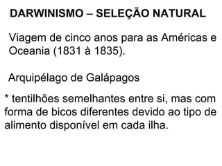 DARWINISMO – SELEÇÃO NATURAL

Viagem de cinco anos para as Américas e
Oceania (1831 à 1835).

Arquipélago de Galápagos
* tentilhões semelhantes entre si, mas com
forma de bicos diferentes devido ao tipo de
alimento disponível em cada ilha.
 