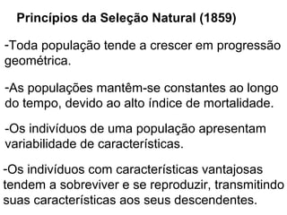 Princípios da Seleção Natural (1859)

-Toda população tende a crescer em progressão
geométrica.

-As populações mantêm-se constantes ao longo
do tempo, devido ao alto índice de mortalidade.
-Os indivíduos de uma população apresentam
variabilidade de características.
-Os indivíduos com características vantajosas
tendem a sobreviver e se reproduzir, transmitindo
suas características aos seus descendentes.
 