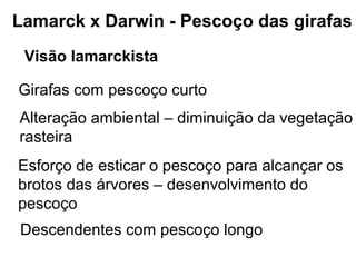 Lamarck x Darwin - Pescoço das girafas
 Visão lamarckista

Girafas com pescoço curto
Alteração ambiental – diminuição da vegetação
rasteira
Esforço de esticar o pescoço para alcançar os
brotos das árvores – desenvolvimento do
pescoço
Descendentes com pescoço longo
 