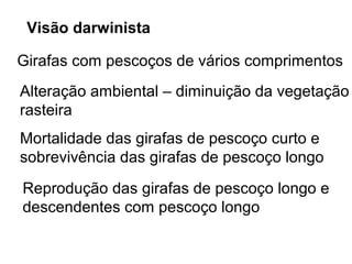 Visão darwinista

Girafas com pescoços de vários comprimentos
Alteração ambiental – diminuição da vegetação
rasteira
Mortalidade das girafas de pescoço curto e
sobrevivência das girafas de pescoço longo
Reprodução das girafas de pescoço longo e
descendentes com pescoço longo
 