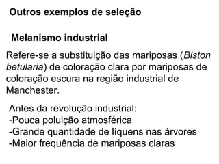 Outros exemplos de seleção

 Melanismo industrial
Refere-se a substituição das mariposas (Biston
betularia) de coloração clara por mariposas de
coloração escura na região industrial de
Manchester.
Antes da revolução industrial:
-Pouca poluição atmosférica
-Grande quantidade de líquens nas árvores
-Maior frequência de mariposas claras
 