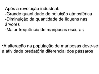 Após a revolução industrial:
 -Grande quantidade de poluição atmosférica
 -Diminuição da quantidade de líquens nas
 árvores
 -Maior frequência de mariposas escuras


•A alteração na população de mariposas deve-se
a atividade predatória diferencial dos pássaros
 
