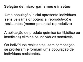Seleção de microrganismos e insetos

Uma população inicial apresenta indivíduos
sensíveis (maior potencial reprodutivo) e
resistentes (menor potencial reprodutivo)

A aplicação de produto químico (antibiótico ou
inseticida) elimina os indivíduos sensíveis

Os indivíduos resistentes, sem competição,
se proliferam e formam uma população de
indivíduos resistentes.
 