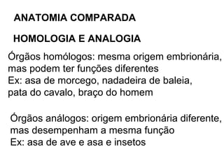 ANATOMIA COMPARADA

 HOMOLOGIA E ANALOGIA
Órgãos homólogos: mesma origem embrionária,
mas podem ter funções diferentes
Ex: asa de morcego, nadadeira de baleia,
pata do cavalo, braço do homem

Órgãos análogos: origem embrionária diferente,
mas desempenham a mesma função
Ex: asa de ave e asa e insetos
 