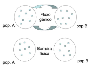 Fluxo
          gênico
pop. A              pop.B




         Barreira
          física

pop. A              pop.B
 