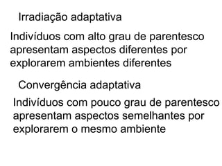 Irradiação adaptativa
Indivíduos com alto grau de parentesco
apresentam aspectos diferentes por
explorarem ambientes diferentes
 Convergência adaptativa
Indivíduos com pouco grau de parentesco
apresentam aspectos semelhantes por
explorarem o mesmo ambiente
 