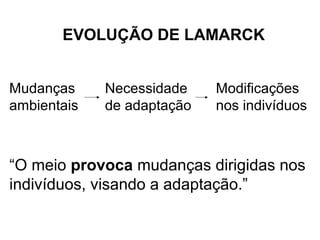 EVOLUÇÃO DE LAMARCK


Mudanças     Necessidade    Modificações
ambientais   de adaptação   nos indivíduos



“O meio provoca mudanças dirigidas nos
indivíduos, visando a adaptação.”
 