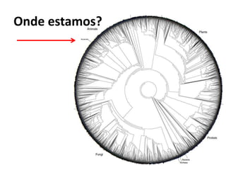 Onde estamos?
 