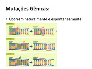 Mutações Gênicas:
• Ocorrem naturalmente e espontaneamente
 