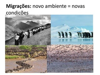 Migrações: novo ambiente = novas
condições
 
