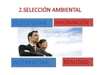 2.SELECCIÓN AMBIENTALINFORMACIÓNSELECCIONARREALIDADINTERPRETAR
