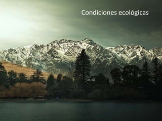 Condiciones ecológicas