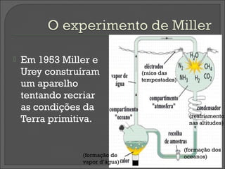    Em 1953 Miller e
    Urey construíram            (raios das
                                tempestades)
    um aparelho
    tentando recriar
    as condições da
    Terra primitiva.                            (resfriamento
                                                nas altitudes)



                                               (formação dos
                (formação de                   oceanos)
                vapor d’água)
 
