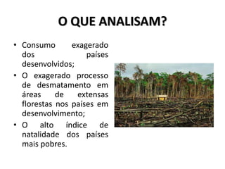 O QUE ANALISAM?
• Consumo exagerado
dos países
desenvolvidos;
• O exagerado processo
de desmatamento em
áreas de extensas
florestas nos países em
desenvolvimento;
• O alto índice de
natalidade dos países
mais pobres.
 