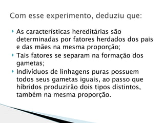 Com esse experimento, deduziu que:

   As características hereditárias são
    determinadas por fatores herdados dos pais
    e das mães na mesma proporção;
   Tais fatores se separam na formação dos
    gametas;
   Indivíduos de linhagens puras possuem
    todos seus gametas iguais, ao passo que
    híbridos produzirão dois tipos distintos,
    também na mesma proporção.
 