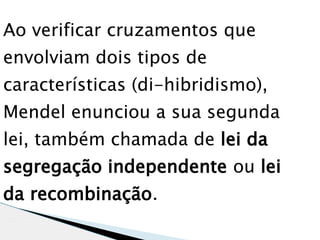 Ao verificar cruzamentos que
envolviam dois tipos de
características (di-hibridismo),
Mendel enunciou a sua segunda
lei, também chamada de lei da
segregação independente ou lei
da recombinação.
 