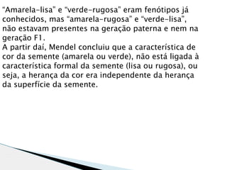“Amarela-lisa” e “verde-rugosa” eram fenótipos já
conhecidos, mas “amarela-rugosa” e “verde-lisa”,
não estavam presentes na geração paterna e nem na
geração F1.
A partir daí, Mendel concluiu que a característica de
cor da semente (amarela ou verde), não está ligada à
característica formal da semente (lisa ou rugosa), ou
seja, a herança da cor era independente da herança
da superfície da semente.
 