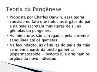 Teoria da Pangênese
   Proposta por Charles Darwin, essa teoria
    consiste no fato que todos os órgãos do pai
    e da mãe secretam miniaturas de si, as
    gêmulas ou pangenes.
   As miniaturas são carregadas pela corrente
    sanguínea até os gametas.
   Na fecundação, as gêmulas do pai e da mãe
    se unem a partir da união gamética
    (espermatozoide + ovócito II) e originam os
    órgãos do novo indivíduo.
 
