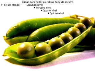 Clique para editar os estilos do texto mestre
1ª Lei de Mendel     Segundo nível
                           ● Terceiro nível
                                 ● Quarto nível
                                        ● Quinto nível
 