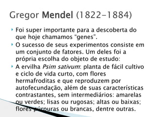 Gregor Mendel (1822-1884)
   Foi super importante para a descoberta do
    que hoje chamamos “genes”.
   O sucesso de seus experimentos consiste em
    um conjunto de fatores. Um deles foi a
    própria escolha do objeto de estudo:
   A ervilha Psim sativum: planta de fácil cultivo
    e ciclo de vida curto, com flores
    hermafroditas e que reproduzem por
    autofecundação, além de suas características
    contrastantes, sem intermediários: amarelas
    ou verdes; lisas ou rugosas; altas ou baixas;
    flores púrpuras ou brancas, dentre outras.
 