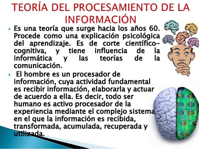 Teoria del procesamiento de la informacion