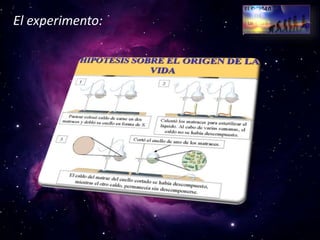 Teorias sobre el origen de la vida | PPTX