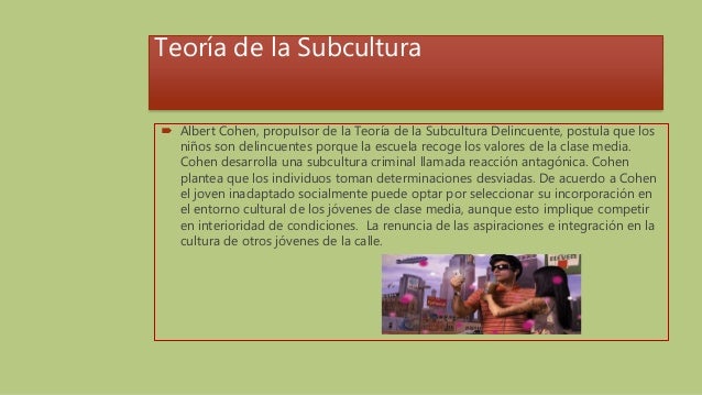 Teorias sobre la delincuencia juvenil