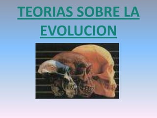 TEORIAS SOBRE LA EVOLUCION 