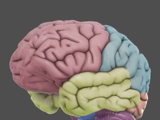 2020_11_13  «Teoría, técnica (y algún case-study) de la neurocomunicación» - Ubaldo Cuesta