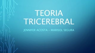 TEORIA
TRICEREBRAL
JENNIFER ACOSTA – MARISOL SEGURA
 