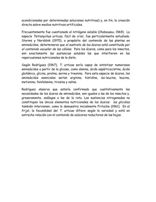 acondicionadas por determinadas soluciones nutritivas) y, en fin, la creación
directa sobre medios nutritivos artificiales.

Frecuentemente fue cuestionado el nitrógeno soluble (Chabousou, 1969). La
especie Tetranychus urticae, fácil de criar, fue particularmente estudiada.
Storms y Norddink (1970), a propósito del contenido de las plantas en
aminoácidos, determinaron que el sustrato de los ácaros está constituido por
el contenido vacuolar de las células. Para los ácaros, como para los insectos,
son exactamente las sustancias solubles las que interfieren en las
repercusiones nutricionales de la dieta.

Según Rodríguez (1967), T. urticae sería capaz de sintetizar numerosos
aminoácidos a partir de la glicosa, como alanina, ácido aspárticocistina, ácido
glutámico, glicina, prolina, serina y treonina. Para esta especie de ácaros, los
aminoácidos esenciales serían arginina, histidina, iso-leucina, leucina,
metionina, fenilelanina, tirosina y valina.

Rodríguez observa que estaría confirmado que cualitativamente las
necesidades de los ácaros de aminoácidos, son iguales a las de los insectos y,
groseramente, análogas a las de la rata. Las sustancias nitrogenadas no
constituyen los únicos elementos nutricionales de los ácaros: los glicidios
también intervienen, como lo demuestra inicialmente Fritzche (1961). En el
frijol, la fecundidad del T. urticae difiere según la variedad y está en
estrecha relación con el contenido de azúcares reductores de las hojas.
 