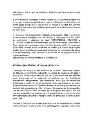 pudriciones y ácaros, son los indicadores biológicos que luego surgen en esas
situaciones.

8- Deshierbas mal ejecutadas, cortando raíces finas, que aceleran la respiración,
lo cual va a provocar una pérdida de la capacidad de asimilación de la planta. La
planta queda sensibilizada y los ataques de hongos e insectos son bastante
comunes en esos casos, generalmente enmascaradas por pulverizaciones masivas
de insecticidas.

9- Cosecha y mal almacenamiento: después de la cosecha, todo vegetal entra
automáticamente en degeneración. Sin embargo, el estado general de los tejidos,
su constitución y capacidad de agua, AMINOÁCIDOS, AZÚCARES y
NITRÓGENO libres que almacenaban por ocasión de la cosecha condicionan la
flora fungosa que traen consigo y su expectativa de conservación. Si tenemos en
cuenta esos factores, el uso totalmente sin criterio que se hace del nitrógeno
soluble, lleva a pérdidas mucho más significativas que las "atribuidas a las plagas
y las enfermedades", como alardean los materiales de las propagandas de las
empresas del ramo
agroquímico y sus representantes en la sociedad civil.



METABOLISMO GENERAL DE LOS AMINOÁCIDOS

Los aminoácidos son precursores de síntesis de proteínas. Sin embargo, el grupo
de Steward, en los EE.UU., trabajando con células de zanahoria cultivadas in
vitro, y con radioisótopos, demostró que los carbohidratos eran más eficaces
como precursores en la biosíntesis de proteína, que los aminoácidos
suministrados exógenamente. Esa observación indica que los aminoácidos
sintetizados a partir de los carbohidratos recién adicionados en el medio,
alcanzan más rápidamente los lugares de síntesis de proteína que los aminoácidos
suministrados exógenamente. Hay, entonces, dos reservorios de aminoácidos:
uno de ellos funciona como precursor de las moléculas proteicas y otro que
contiene aminoácidos que provienen de la degradación de las proteínas. La unión
entre estos dos reservorios se hace principalmente a través de la alanina (Bidwell
et al. 1964).

Fuera de la función de precursores de las proteínas, los aminoácidos son también
intermediarios en la síntesis de otros constituyentes celulares y sufren una
 