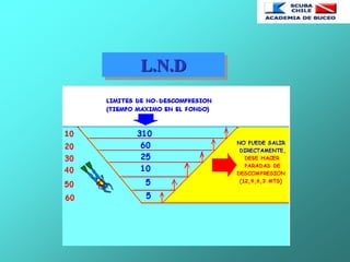 L.N.D
 