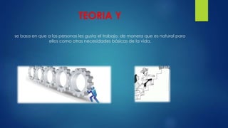 TEORIA Y 
se basa en que a las personas les gusta el trabajo, de manera que es natural para 
ellos como otras necesidades básicas de la vida. 
 