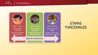 ETAPAS
FUNCIONALES
 