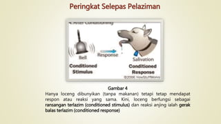 Peringkat Selepas Pelaziman
Gambar 4
Hanya loceng dibunyikan (tanpa makanan) tetapi tetap mendapat
respon atau reaksi yang sama. Kini, loceng berfungsi sebagai
ransangan terlazim (conditioned stimulus) dan reaksi anjing ialah gerak
balas terlazim (conditioned response)
 