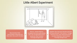 Little Albert Experiment
Bayi tersebut tidak
menunjukkan sebarang rasa
takut akan tikus putih tersebut
Namun, setelah Watson
mengetuk penukul pada palang
besi lalu menghasilkan bunyi
yang kuat, bayi tersebut
menangis dengan kuat
Kejadian tikus bersama ketukan penukul
diulang sebanyak 7 kali selama 7 minggu
berturut-turut dan setiap kali proses
tersebut dilakukan, bayi tersebut
menangis dengan kuat.
 
