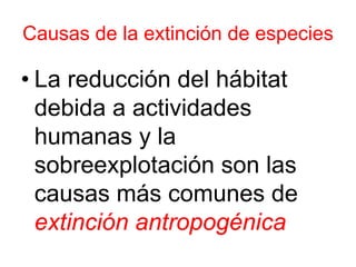 Causas de la extinción de especies
• La reducción del hábitat
debida a actividades
humanas y la
sobreexplotación son las
causas más comunes de
extinción antropogénica
 