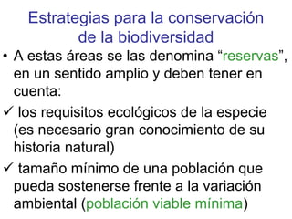 Estrategias para la conservación
de la biodiversidad
• A estas áreas se las denomina “reservas”,
en un sentido amplio y deben tener en
cuenta:
los requisitos ecológicos de la especie
(es necesario gran conocimiento de su
historia natural)
tamaño mínimo de una población que
pueda sostenerse frente a la variación
ambiental (población viable mínima)
 