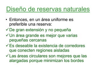 Diseño de reservas naturales
• Entonces, en un área uniforme es
preferible una reserva:
De gran extensión y no pequeña
Un área grande es mejor que varias
pequeñas cercanas
Es deseable la existencia de corredores
que conecten regiones aisladas
Las áreas circulares son mejores que las
alargadas porque minimizan los bordes
 