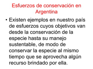 Esfuerzos de conservación en
Argentina
• Existen ejemplos en nuestro país
de esfuerzos cuyos objetivos van
desde la conservación de la
especie hasta su manejo
sustentable, de modo de
conservar la especie al mismo
tiempo que se aprovecha algún
recurso brindado por ella.
 